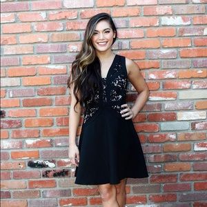 Belle of the Ball Black Lace Cocktail Dress